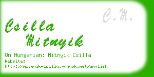 csilla mitnyik business card